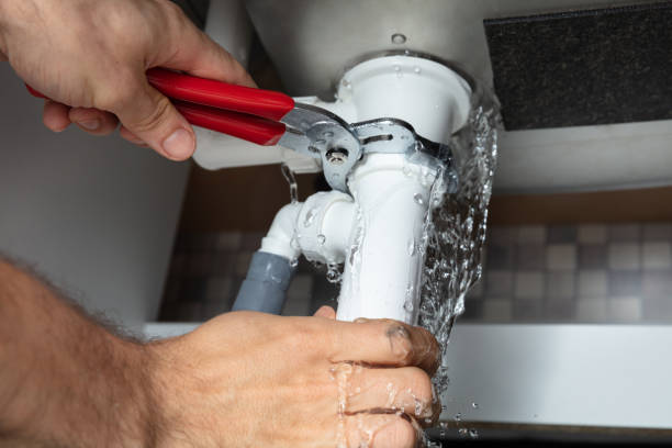 Best Flood damage cleanup  in Charlestown, MD