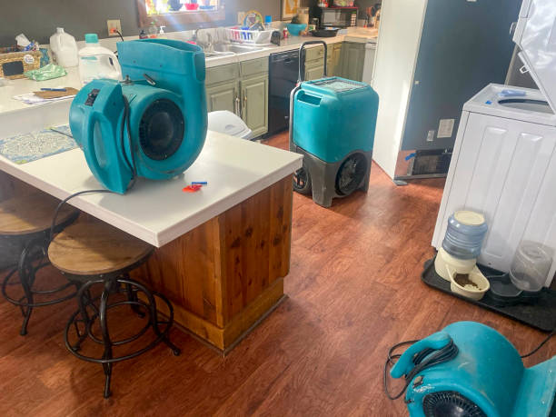 Best Basement water damage restoration  in Charlestown, MD