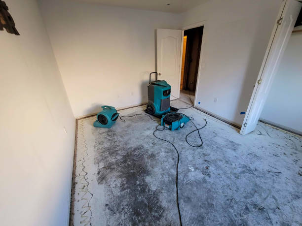 Best Local water damage restoration  in Charlestown, MD