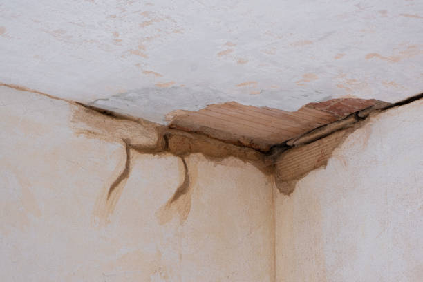 Best Commercial water damage restoration  in Charlestown, MD