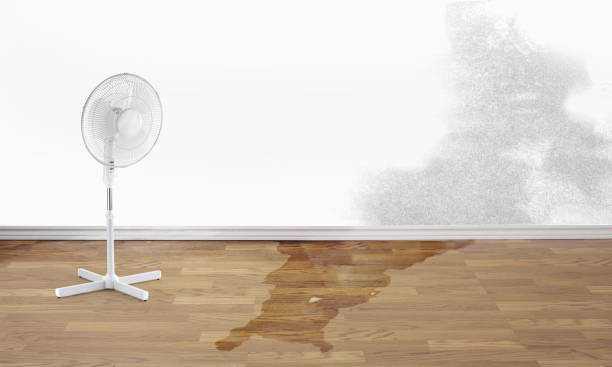 Best Water damage contractors near me  in Charlestown, MD