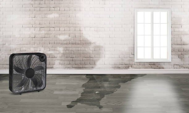 Best Water damage restoration near me  in Charlestown, MD