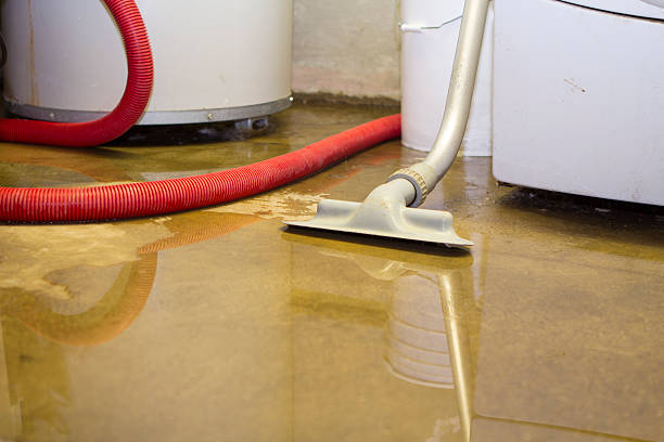 Best Water damage restoration mold remediation  in Charlestown, MD