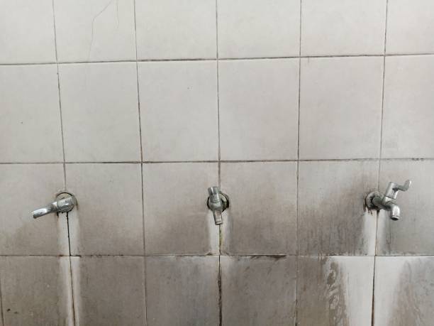 Best 24/7 water damage repair  in Charlestown, MD
