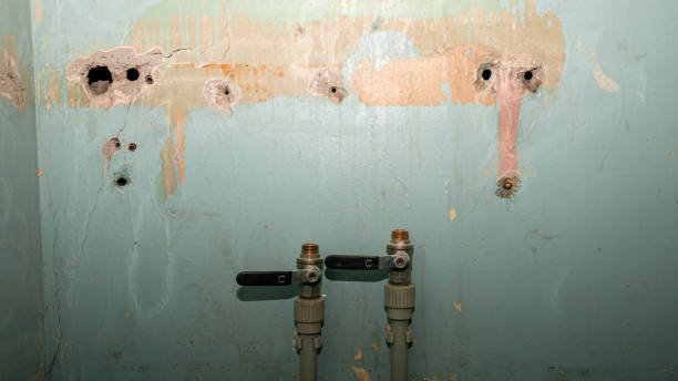 Best Professional water damage repair  in Charlestown, MD