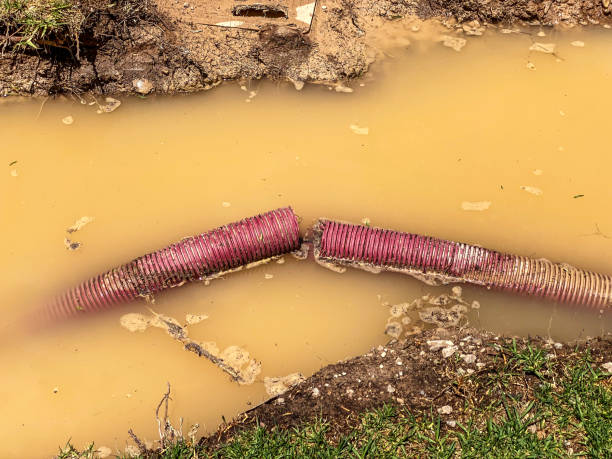 Best Water damage cleanup near me  in Charlestown, MD