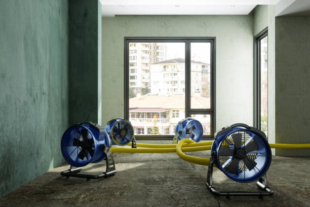 Best Fire Damage Restoration  in Charlestown, MD